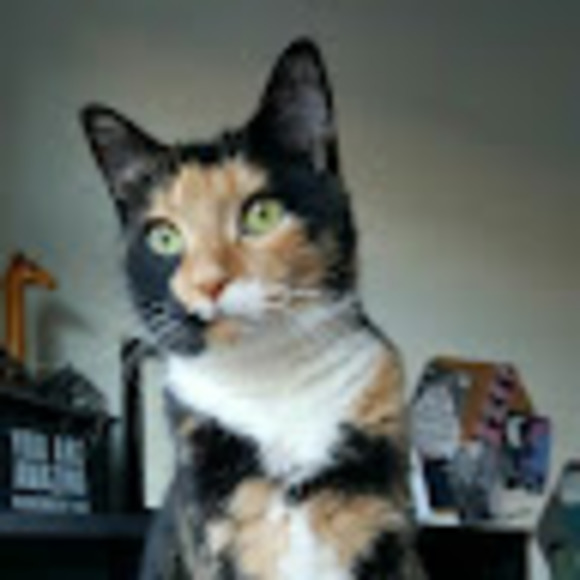 Meet your Posher, Jill - Picture 1 of 1